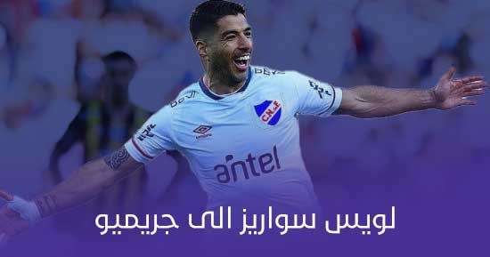 تفاصيل عقد لويس سواريز مع جريميو البرازيلي